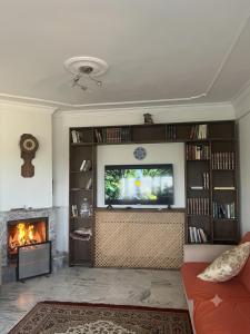 a living room with a fireplace and a television at Narçiçeği in Değirmendere