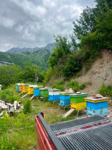 a group of colored beehives on a hill at Koman Rest Point in Koman