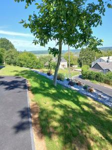 a tree on the side of a road at Gîte Chalet Bellevue in Couvin