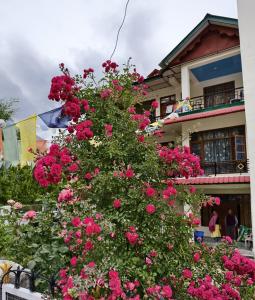 a bush of pink roses in front of a building at The Moonland Homestay in Shalkār