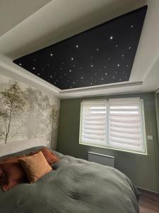 a bedroom with a ceiling with stars on it at Gîte au paradis boisé in Ardres +20 photos