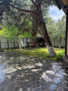 a tree sitting in the middle of a yard at Sweet Home 3 in Sevan