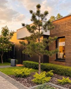 a pine tree in front of a house at Lakes Places Villas in Kyiv