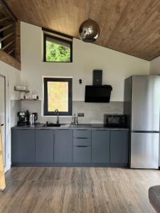 a kitchen with gray cabinets and a stainless steel refrigerator at Sviy home in Slavske +25 photos
