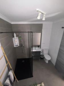a bathroom with a shower and a toilet at Casa la parra in Ardales +28 photos