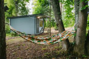 a hammock hanging from a tree in front of a shed at Värska kämping in Värska