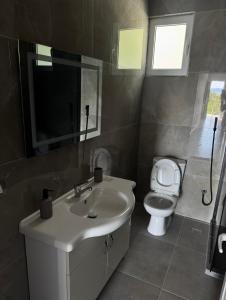 a bathroom with a sink and a toilet at Hotel Dalian in Baks-Rrjoll