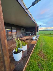 a house with plants in pots on a deck at Tiatukia Beach House in North Shields