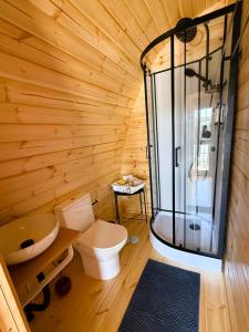 a wooden bathroom with a toilet and a shower at LEIRIA Side Bungalow in Leiria +13 photos
