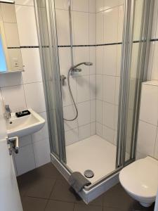 a bathroom with a shower with a sink and a toilet at Pension DaVinci in Schwetzingen