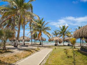 a path on a beach with palm trees and the ocean at El Viento Beach Apartamentos in San Bernardo del Viento