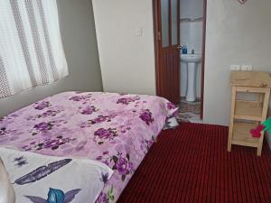 a bedroom with a purple bed and a sink at Casa de Ruben - Lac Titicaca in Llachon