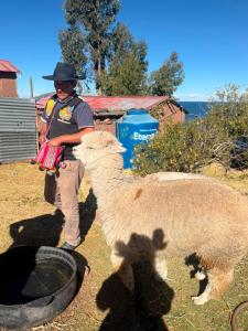 a young boy is standing next to a llama at Casa de Ruben - Lac Titicaca in Llachon +11 photos