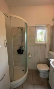 a bathroom with a shower and a toilet and a window at Stunning Sea View in Central Postira in Postira