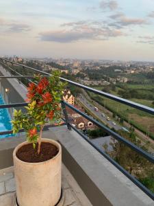 a plant in a pot on a balcony overlooking a highway at Tsavo Rising in Nairobi