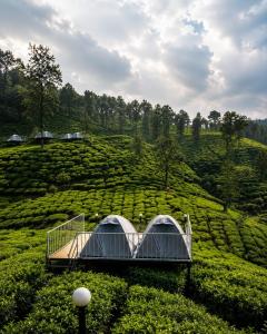 a tent in the middle of a tea plantation at Skydeck - Boche 1000 Acre in Meppādi +16 photos