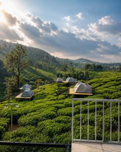 a group of tents on a tea plantation at Skydeck - Boche 1000 Acre in Meppādi