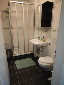 a bathroom with a shower and a toilet and a sink at Monica Inn in Passau