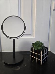 a mirror sitting on a table next to a plant at L'argonnière in Buzancy