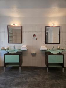 a bathroom with two sinks and a mirror and a toilet at L'argonnière in Buzancy +3 photos