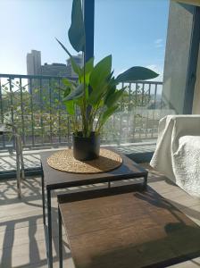 a potted plant sitting on a table on a balcony at VIP Suite Antofagasta in Antofagasta