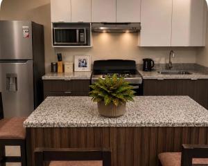 a kitchen with a table with a potted plant on it at Apto de Paula in San Salvador +3 photos
