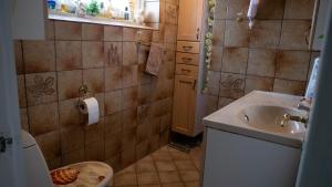 a small bathroom with a sink and a toilet at Amazing villa with garden in Kolding