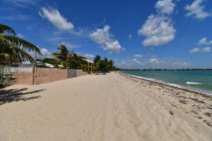 a sandy beach with palm trees and the ocean at Tri Tan Beach Cabanas in Placencia