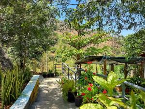 a garden with a pathway with flowers and plants at Casa Velho 05 Rodrigues in Órgãos
