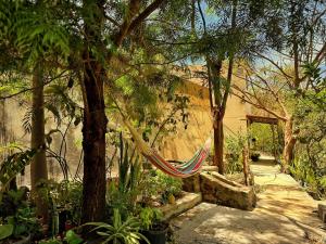 a hammock hanging from a tree in a garden at Casa Velho 05 Rodrigues in Órgãos