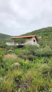 a house sitting on top of a grass covered hill at Cabaña Refugio del Silencio Ixmiquilpan in Ixmiquilpan