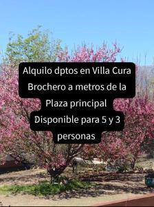 a tree with pink flowers on it at Departamento Los Rosales in Villa Cura Brochero