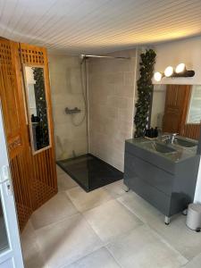a bathroom with a shower with a sink and a mirror at Maison Icard in Sault-de-Vaucluse +28 photos