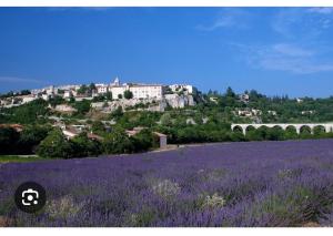 a lavender field with a castle on top of a hill at Maison Icard in Sault-de-Vaucluse