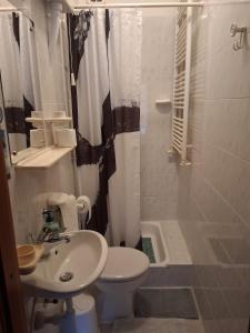 a bathroom with a sink and a toilet and a shower at Apartments with parking space Moscenicka Draga, Opatija - 7746 in Mošćenička Draga +30 photos