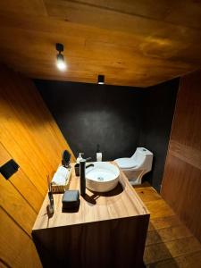 a bathroom with a sink and a toilet at Amanece en la naturaleza in Mazamitla