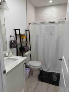 a bathroom with a toilet and a shower and a sink at Cozy Apartment in Brownsville +6 photos