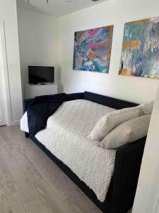 a bedroom with a bed with a television and paintings at Cozy Apartment in Brownsville