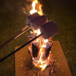 a fire pit with two marshmallows on fire at Nyth Y Goedwig in Dolgellau