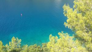 an aerial view of a lake with a boat in it at Apartment Nono Ivo in Vis