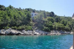 a house on a hill next to a body of water at Apartment Nono Ivo in Vis
