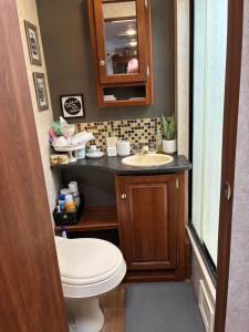 a bathroom with a toilet and a sink at My Little RV Getaway in Pass Christian