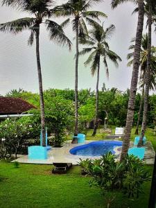 a swimming pool with palm trees in a resort at AMIGOS BUNGALOWS GILI MENO in Gili Meno