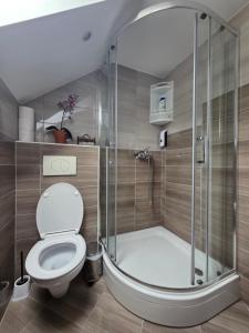 a bathroom with a toilet and a shower at Apartments & Chalet Jurček in Luče +26 photos
