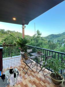 a dog standing on a balcony with a table and chairs at Táo House in Vĩnh Hy