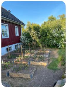 a garden in front of a house at Skøn perle midt i naturen in Munke Bjergby