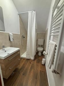 a bathroom with a sink and a toilet and a shower at Bergblick in Arpaşu de Sus +32 photos