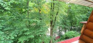a view of a forest from the porch of a cabin at Над Річкою in Yaremche