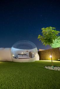 a glass house in a garden with a tree at Burbuja El Sueño del Duque in Villanueva de Tapia