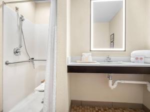 a bathroom with a sink and a mirror and a shower at Comfort Inn Detroit Downtown in Detroit +27 photos